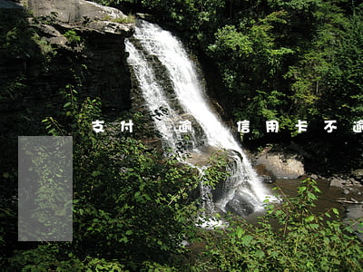 支付寶逾期信用卡不逾期會怎樣