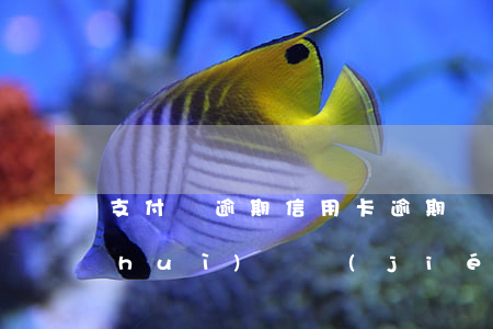 支付寶逾期信用卡逾期會(huì)不會(huì)凍結(jié)-支付寶逾期信用卡逾期會(huì)不會(huì)凍結(jié)銀行卡