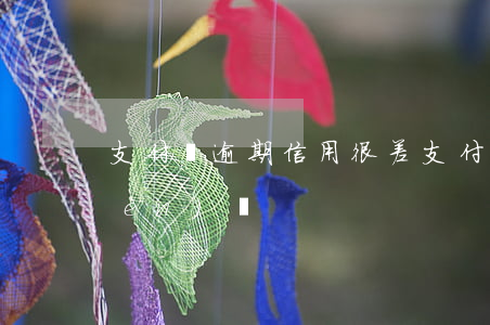 支付寶逾期信用很差 支付寶逾期征信問(wèn)題