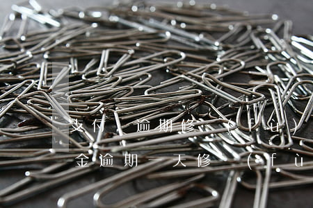 支付寶逾期修復(fù)備用金 支付寶備用金逾期一天修復(fù)成功