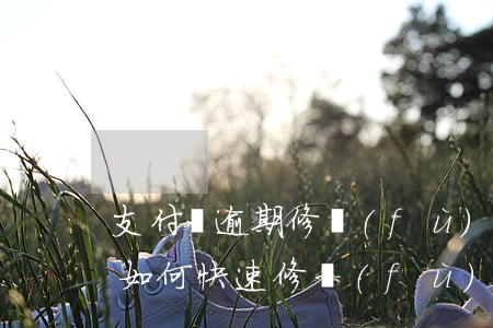 支付寶逾期修復(fù)助力群(支付寶逾期如何快速修復(fù))