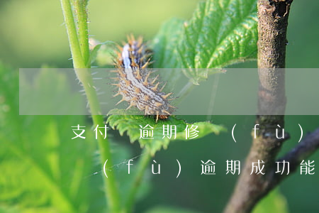 支付寶逾期修復(fù)多久漲分(支付寶修復(fù)逾期成功能恢復(fù)多少分?)