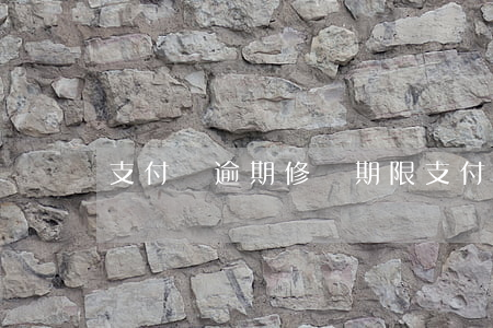 支付寶逾期修復期限(支付寶逾期了可以修復嗎)