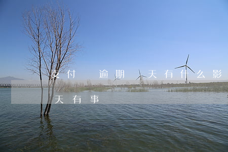 支付寶逾期倆天有什么影響-支付寶逾期兩天有事嗎?