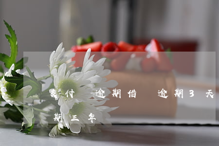 支付寶逾期借唄逾期3天(支付寶借唄欠款逾期三年)