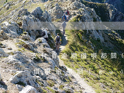 支付寶逾期借唄都關(guān)了(支付寶借唄逾期關(guān)閉后會再重開嗎)