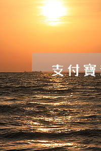 支付寶逾期借錢 支付寶逾期借錢的地方