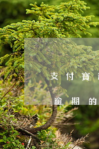 支付寶逾期備用金可以用嗎（支付寶備用金有逾期的么我愛(ài)卡）