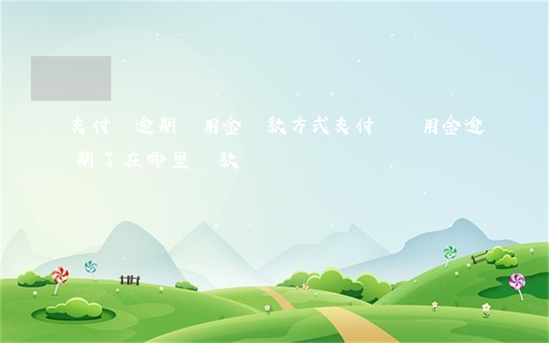 支付寶逾期備用金還款方式(支付寶備用金逾期了在哪里還款)