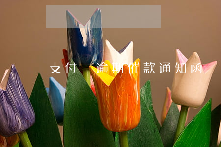 支付寶逾期催款通知函