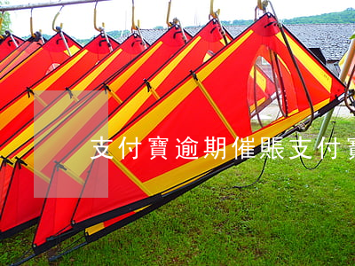支付寶逾期催賬(支付寶 催款)