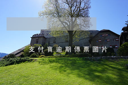 支付寶逾期傳票圖片