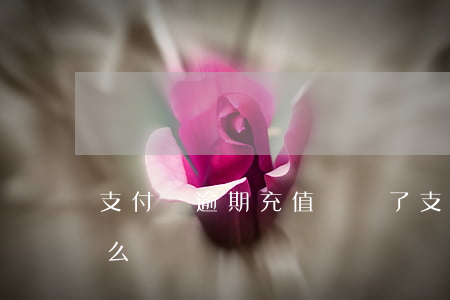 支付寶逾期充值錢沒了(支付寶逾期了沒錢怎么辦?)