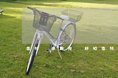 支付寶逾期充錢秒扣（支付寶逾期秒扣嗎）