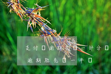 支付寶逾期先還一部分還會上門嗎-支付寶逾期能先還一半嗎