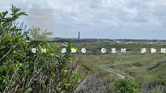 支付寶逾期免罰息 支付寶逾期能免罰息不