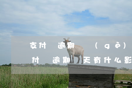 支付寶逾期兩個(gè)月有什么后果-支付寶逾期兩天有什么影響