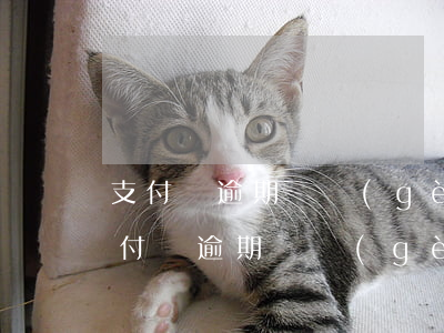 支付寶逾期兩個(gè)月有什么影響嗎(支付寶逾期兩個(gè)月會(huì)怎么樣)