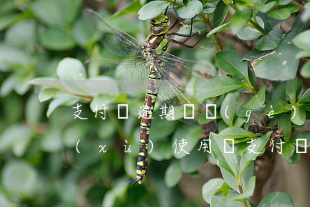支付寶逾期兩個(gè)月還完了可以繼續(xù)使用嗎（支付寶逾期換完還能用嗎）