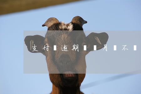 支付寶逾期兩個月會不會上征信-