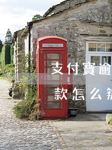 支付寶逾期兩個月說要起訴我但是我還不上款怎么辦（支付寶逾期還不上款）