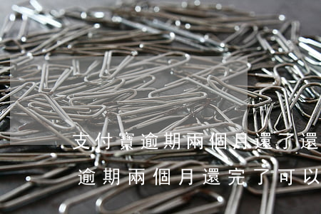 支付寶逾期兩個月還了還能再借不-支付寶逾期兩個月還完了可以繼續(xù)使用嗎