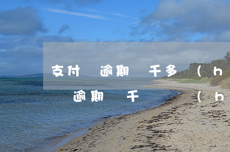 支付寶逾期兩千多,會(huì)起訴嗎?（支付寶逾期幾千塊錢會(huì)上法庭嗎）