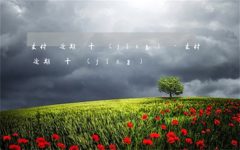 支付寶逾期兩千經(jīng)歷-支付寶逾期兩千經(jīng)歷