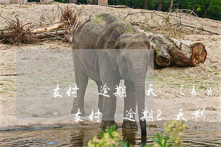 支付寶逾期兩天會(huì)影響信用分嗎-支付寶逾期2天影響信用嗎