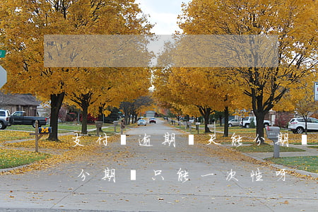 支付寶逾期兩天能分期嗎(支付寶逾期了不能分期還,只能一次性呀)