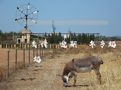 支付寶逾期兩年多起訴嗎（支付寶逾期兩年被起訴）