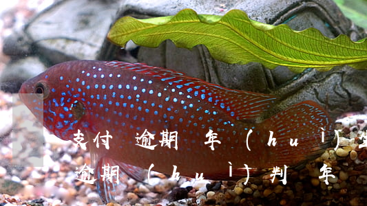 支付寶逾期兩年會(huì)坐牢嗎(支付寶逾期會(huì)判幾年)