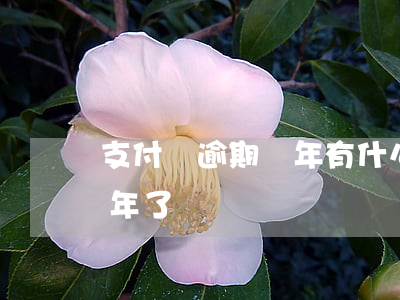 支付寶逾期兩年有什么影響(支付寶逾期快2年了)