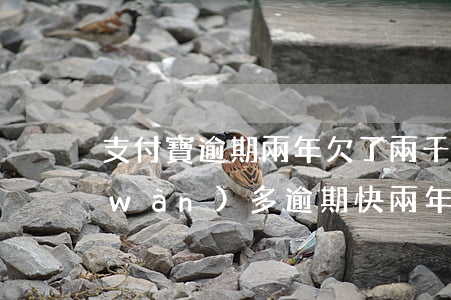支付寶逾期兩年欠了兩千多(欠支付寶一萬(wàn)多逾期快兩年了會(huì)怎么樣)