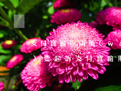 支付寶逾期兩萬(wàn)多說(shuō)要起訴（支付寶逾期半年要起訴我了）