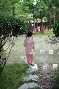 支付寶逾期兩萬多說給我寄律師函(支付寶逾期三萬多收到律師函怎么辦)