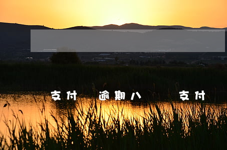 支付寶逾期八萬塊(支付寶逾期8萬)