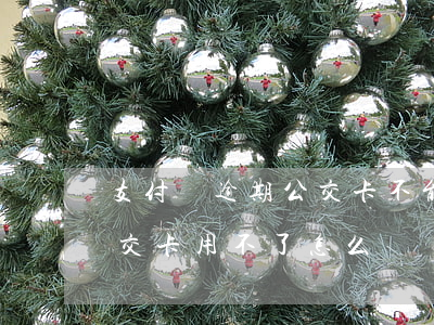 支付寶逾期公交卡不能用(支付寶花唄逾期公交卡用不了怎么辦)
