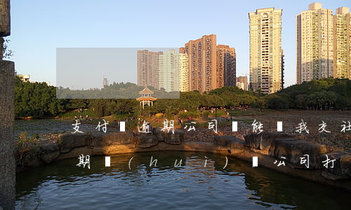 支付寶逾期公司還能給我交社保嗎(支付寶逾期會(huì)給公司打電話么)