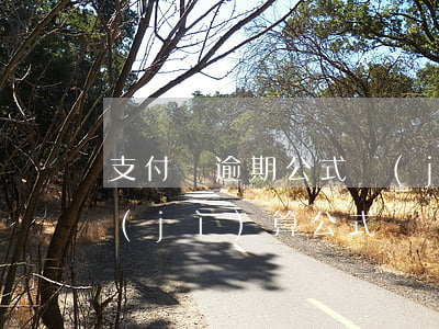 支付寶逾期公式計(jì)算器(逾期還款計(jì)算公式)