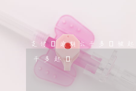 支付寶逾期六千多說被起訴了(支付寶逾期四千多起訴)