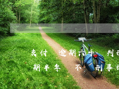 支付寶逾期六千會判刑嗎 支付寶欠款6萬逾期半年會不會刑事拘留