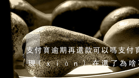 支付寶逾期再還款可以嗎(支付寶之前逾期了,現(xiàn)在還了,為啥不能用?)