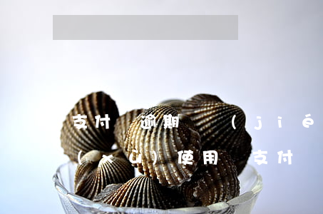 支付寶逾期凍結(jié)了還完可以繼續(xù)使用嗎（支付寶逾期多久支付寶被凍結(jié)）