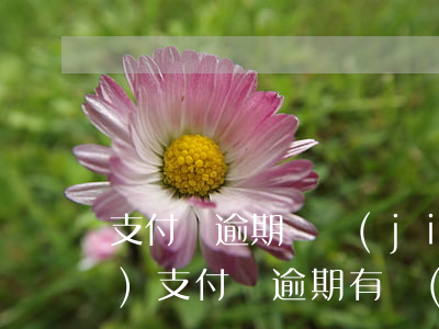 支付寶逾期凍結(jié)財產(chǎn) 支付寶逾期有權(quán)凍結(jié)個人資產(chǎn)嗎
