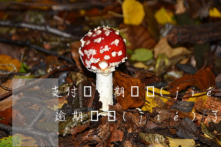 支付寶逾期凍結(jié)還不了-支付寶逾期凍結(jié)了還完可以繼續(xù)使用嗎