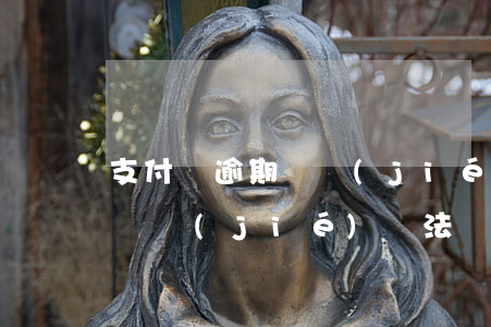 支付寶逾期凍結(jié)還款后(支付寶被凍結(jié)無法還款)