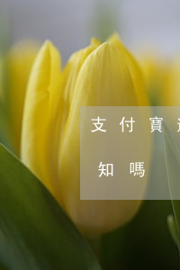 支付寶逾期凍結之前會通知(支付寶凍結會通知嗎)