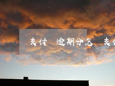 支付寶逾期分怎樣（支付寶逾期分怎樣）