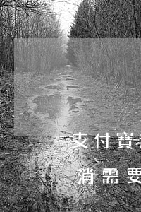 支付寶逾期分期還款(支付寶逾期分期還款取消,需要全額還款)